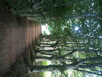 Apr 2 - Walking path
