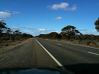 Jul 4 - The long straight road across the Nullabor Plain from Norseman to  Adelaide
