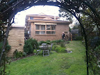 Jul 25 - Backyard