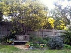 Aug 12 - Spring in the Garden
