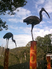 Aug 20 - Stork Sculptures
