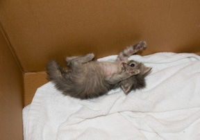 [playing-in-box[6].jpg]