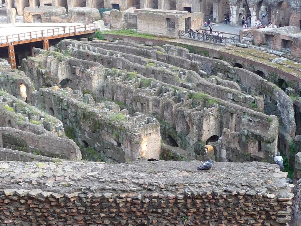 [Roma (653)[3].jpg]