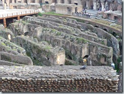 Roma (653) Roma (653)