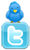 Seguir a LoreBluePunk en Twitter