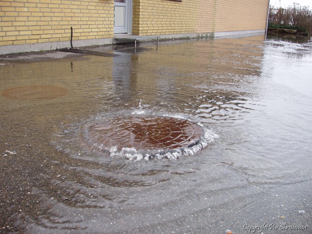 [P1163939[8].jpg]