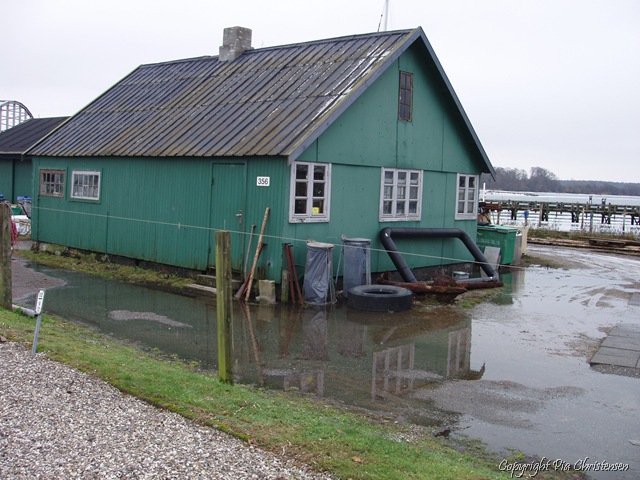 [P1163945[2].jpg]