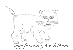 kat kat
