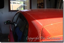 IMG_5174 IMG_5174