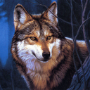 Wolf Jigsaw Puzzles mobile app icon