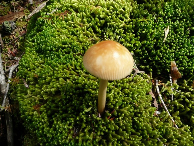 [P1020215[2].jpg]