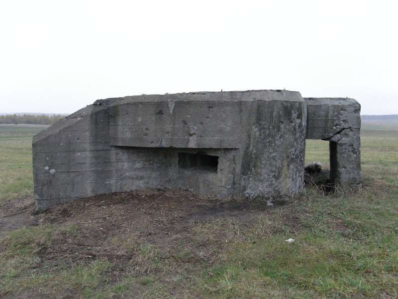 PA250065.JPG