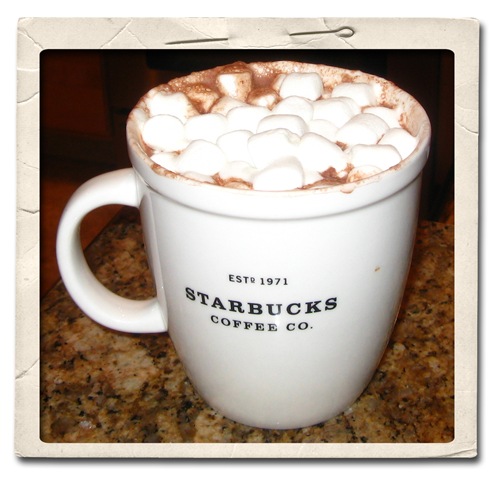 [cocoa[13].jpg]