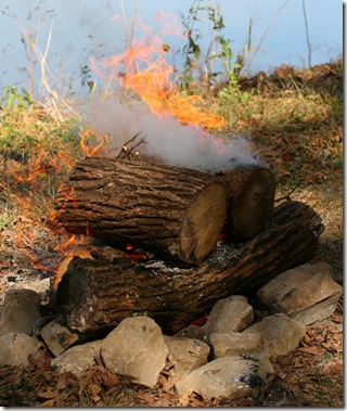 IMG_4417 IMG_4417