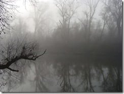mist