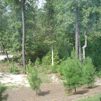 Another view from the sunroom.
