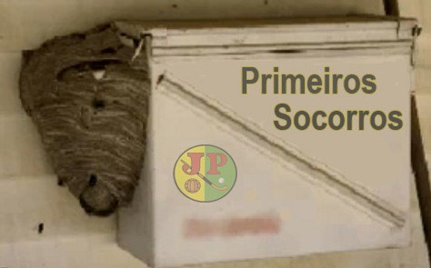 [Primeiros Socorros[6].jpg]