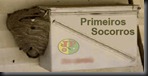 Primeiros Socorros