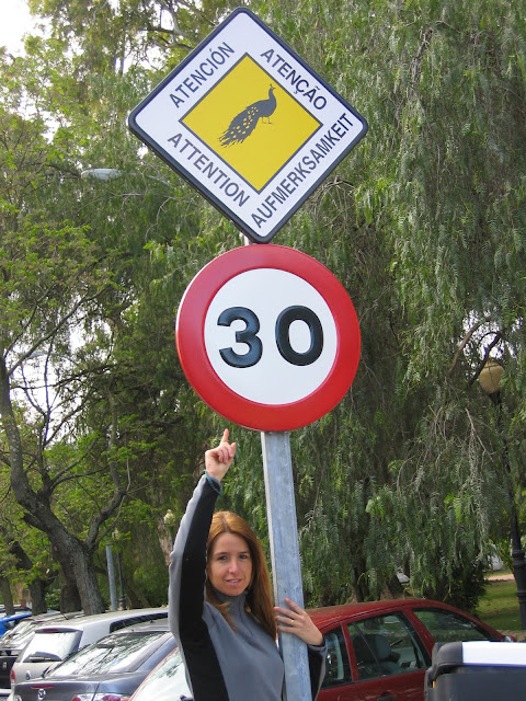 Imagen%20115.jpg