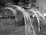 A bamboo sculpture