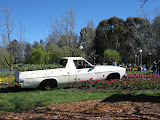 A ute stranded in a park full of flowers