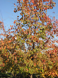 Autumn is here!