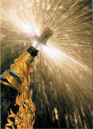 [champagne[9].jpg]