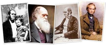 Darwin weergegeven