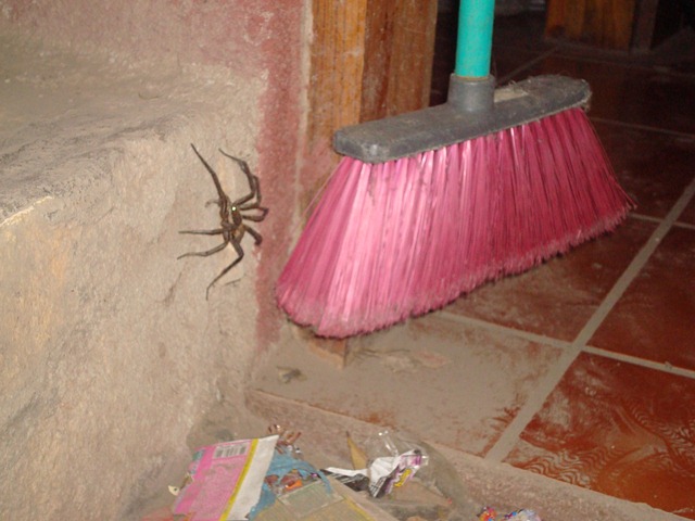 [DSC087252.jpg]