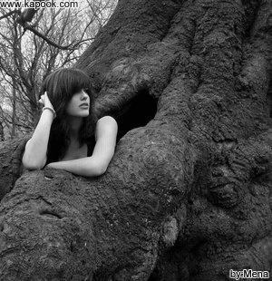 คลิกๆๆ รูปสวยๆน่ารักๆไว้ส่งต่อเพียบ...