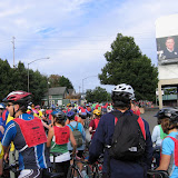 bridge pedal 07