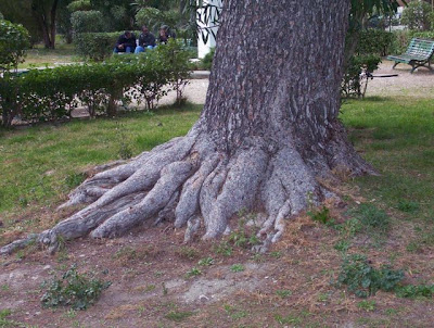 Image of Foggia - Villa Comunale