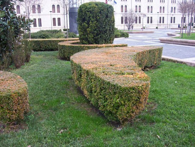 Image of Foggia - Piazza Italia