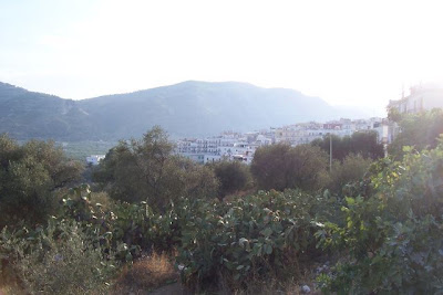 Image of Mattinata