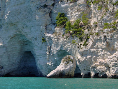 Image of Falesia nella Baia di Vignanotica Image of Falesia nella Baia di Vignanotica