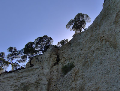 Image of Falesia nella Baia di Vignanotica Image of Falesia nella Baia di Vignanotica