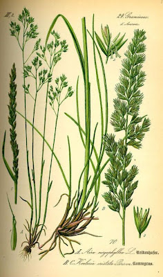 Pabbio