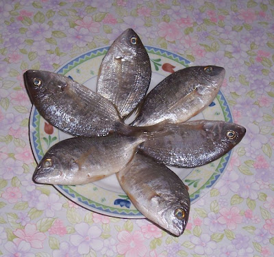 Image of Sparaglione