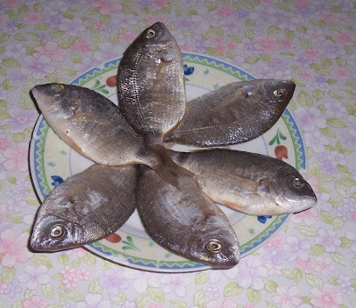 Image of Sparaglione