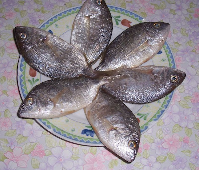 Image of Sparaglione