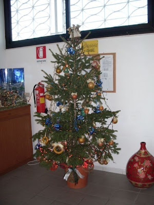 Image of Albero di Natale