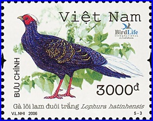 vie200608l vie200608l