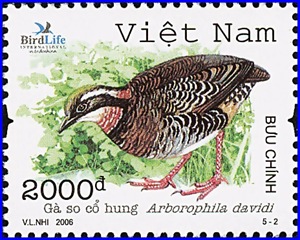 vie200602l vie200602l