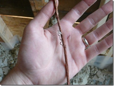 [P1030304_thumb[4].jpg]