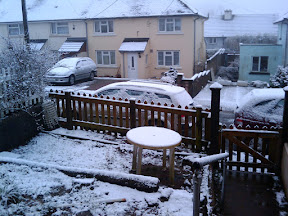 View from my front door, 7.50am