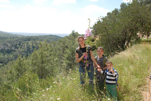 jerusalem hills