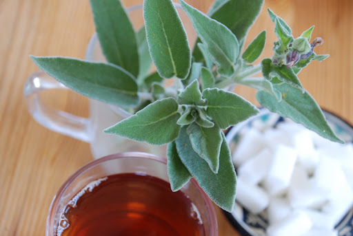 sage tea