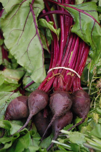 beets, borough market
