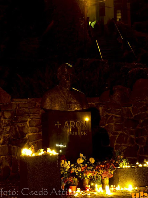 nov1_2010_11.jpg