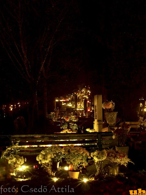 nov1_2010_22.jpg